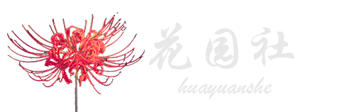 你所热爱的就是你的生活